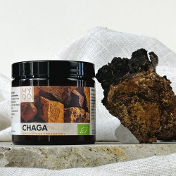 Chaga - Błyskoporek podkorowy
