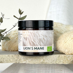 Soplówka jeżowata - Lion's...