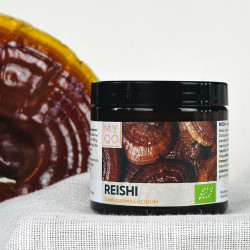 Reishi - lakownica lśniąca...
