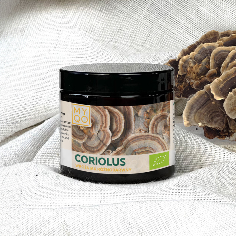 Wrośniak różnobarwny - Coriolus versicolor - Trametes versicolor