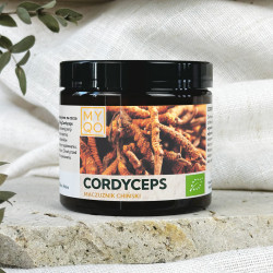 Cordyceps sinensis -...