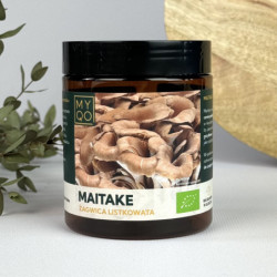 Maitake - Żagwica...