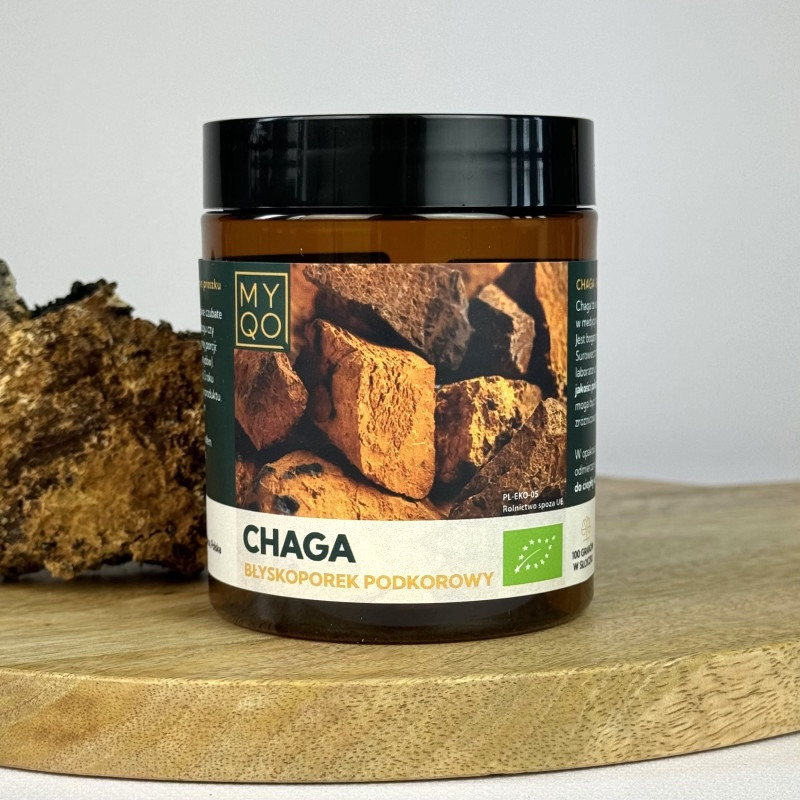 Chaga - Błyskoporek podkorowy - 100 g