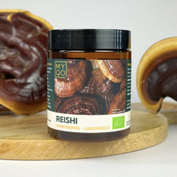 Reishi - Lakownica lśniąca...