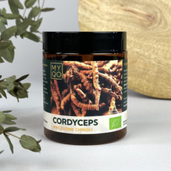 Cordyceps sinensis -...
