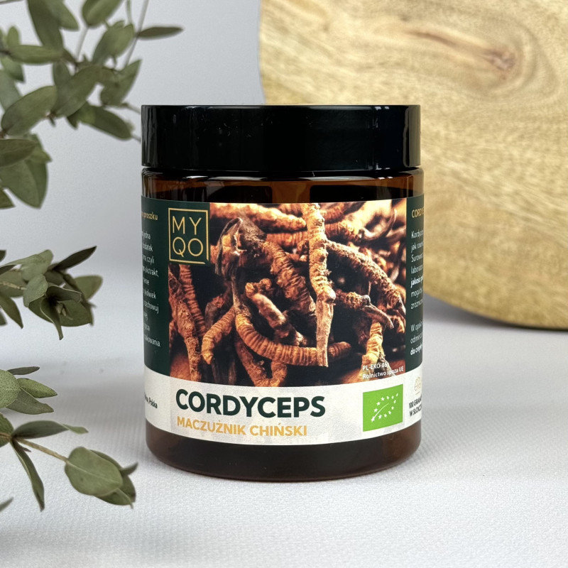 Cordyceps sinensis - Maczużnik chiński - 100 g