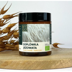 Soplówka jeżowata - Lion's...