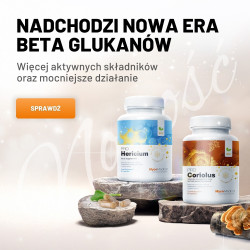 Soplówka jeżowata - Lion's...